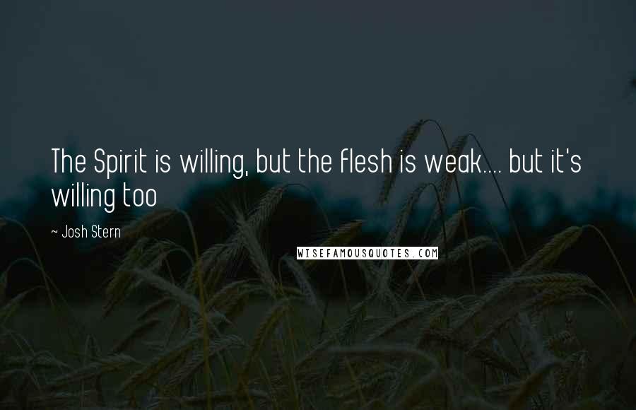Josh Stern Quotes: The Spirit is willing, but the flesh is weak.... but it's willing too