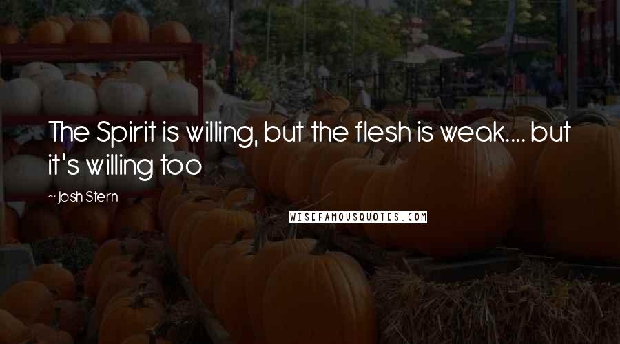 Josh Stern Quotes: The Spirit is willing, but the flesh is weak.... but it's willing too