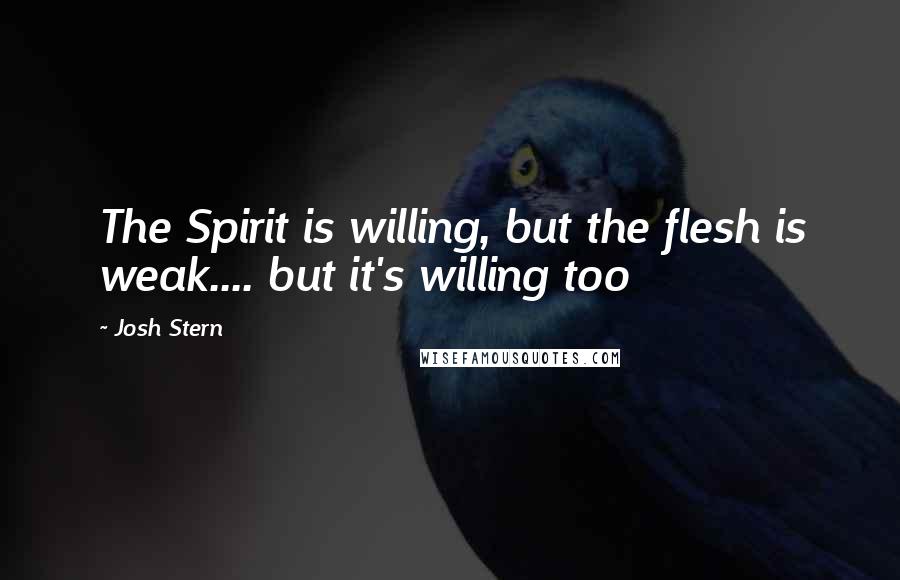 Josh Stern Quotes: The Spirit is willing, but the flesh is weak.... but it's willing too