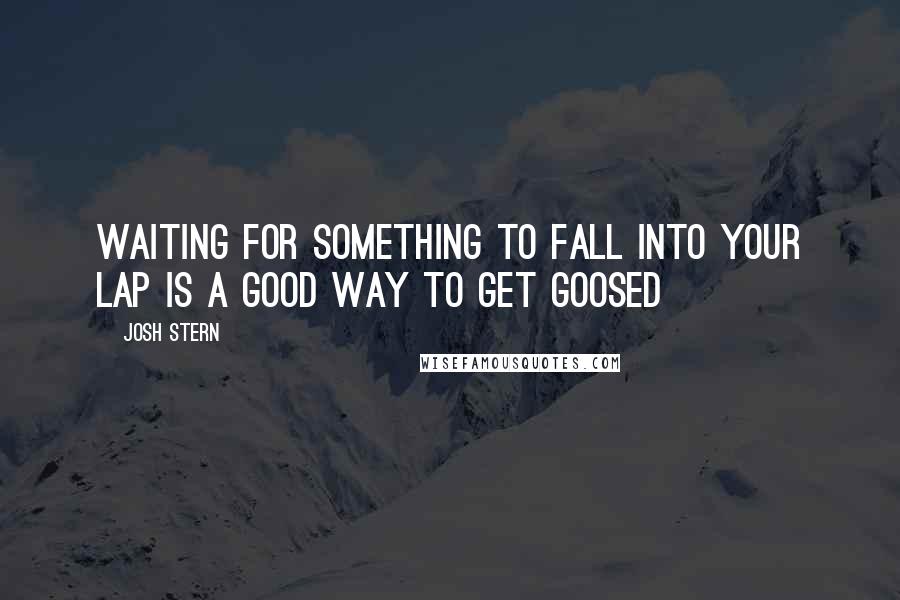 Josh Stern Quotes: Waiting for something to fall into your lap is a good way to get goosed