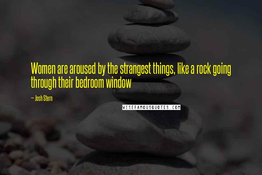 Josh Stern Quotes: Women are aroused by the strangest things, like a rock going through their bedroom window