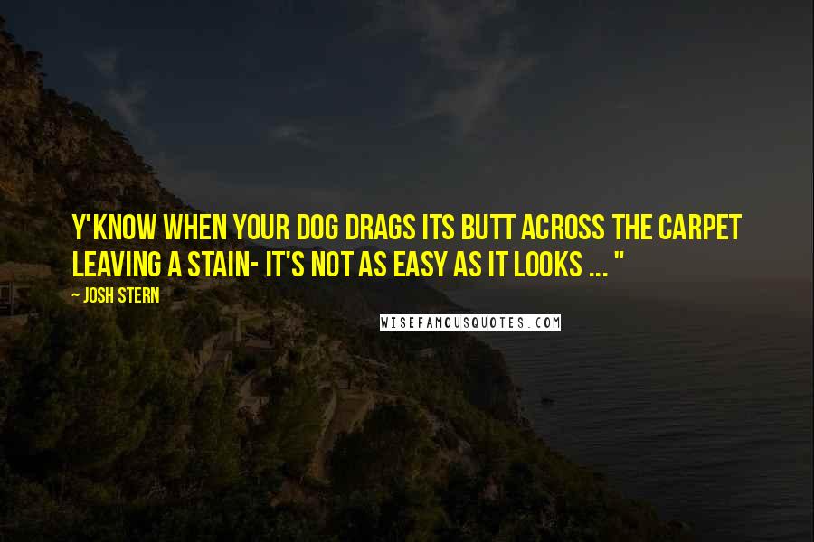 Josh Stern Quotes: Y'know when your dog drags its butt across the carpet leaving a stain- It's not as easy as it looks ... "