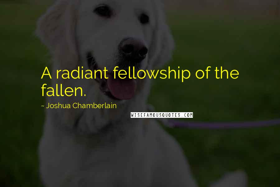 Joshua Chamberlain Quotes: A radiant fellowship of the fallen.