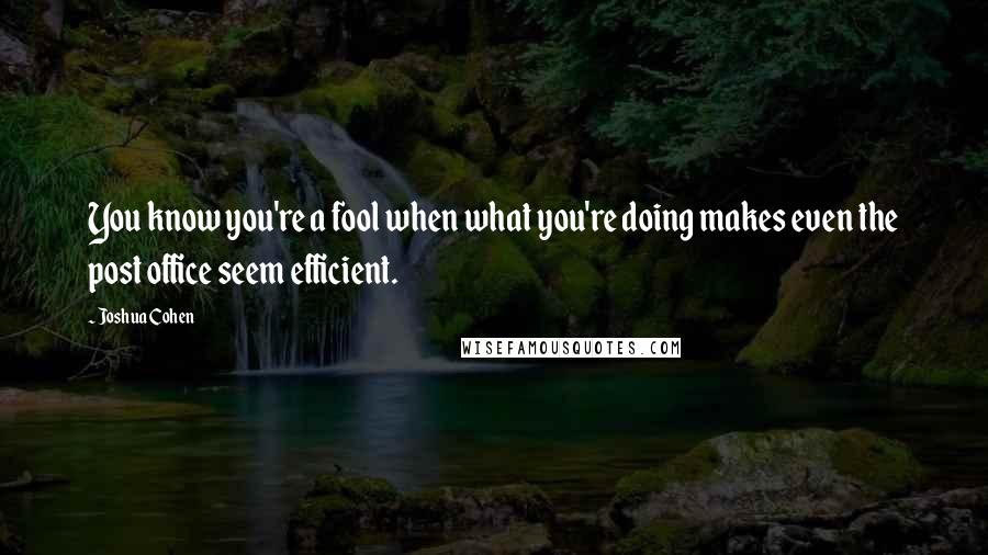 Joshua Cohen Quotes: You know you're a fool when what you're doing makes even the post office seem efficient.