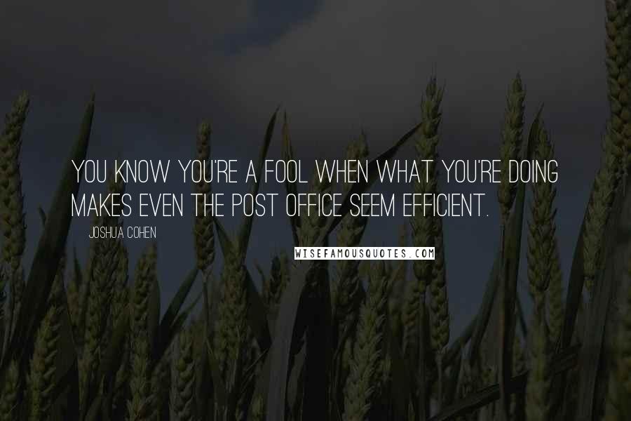 Joshua Cohen Quotes: You know you're a fool when what you're doing makes even the post office seem efficient.