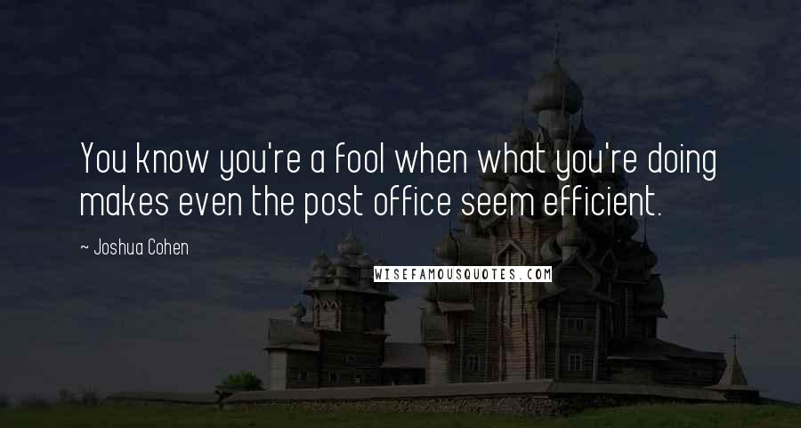 Joshua Cohen Quotes: You know you're a fool when what you're doing makes even the post office seem efficient.