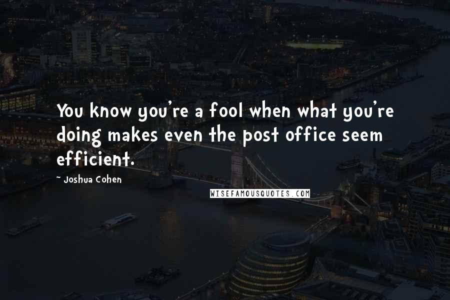 Joshua Cohen Quotes: You know you're a fool when what you're doing makes even the post office seem efficient.