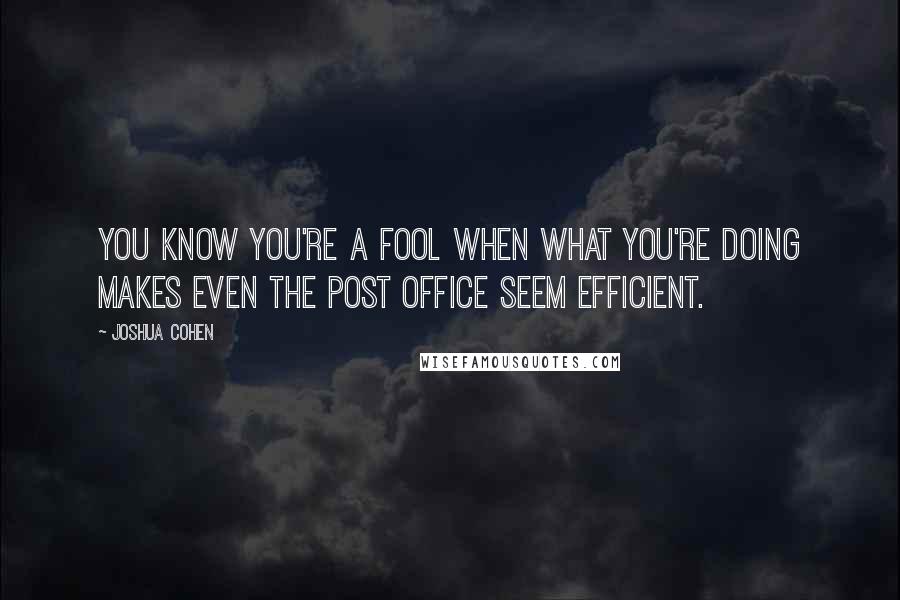 Joshua Cohen Quotes: You know you're a fool when what you're doing makes even the post office seem efficient.