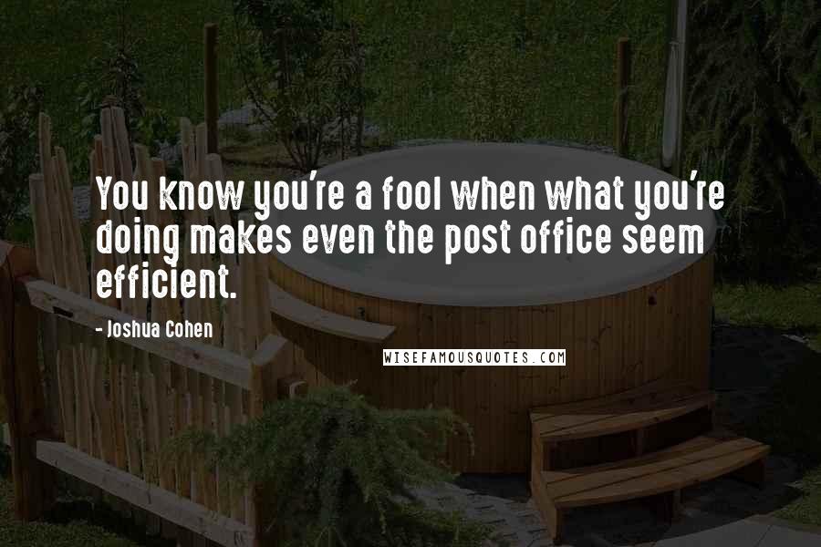 Joshua Cohen Quotes: You know you're a fool when what you're doing makes even the post office seem efficient.