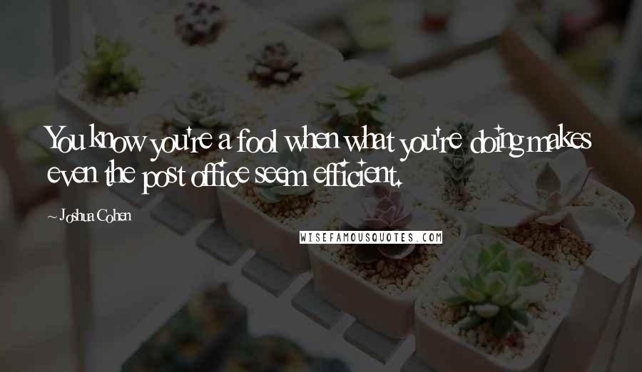 Joshua Cohen Quotes: You know you're a fool when what you're doing makes even the post office seem efficient.