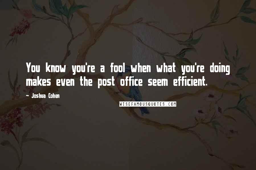 Joshua Cohen Quotes: You know you're a fool when what you're doing makes even the post office seem efficient.