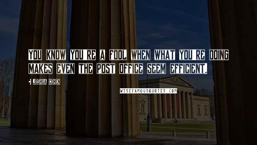 Joshua Cohen Quotes: You know you're a fool when what you're doing makes even the post office seem efficient.