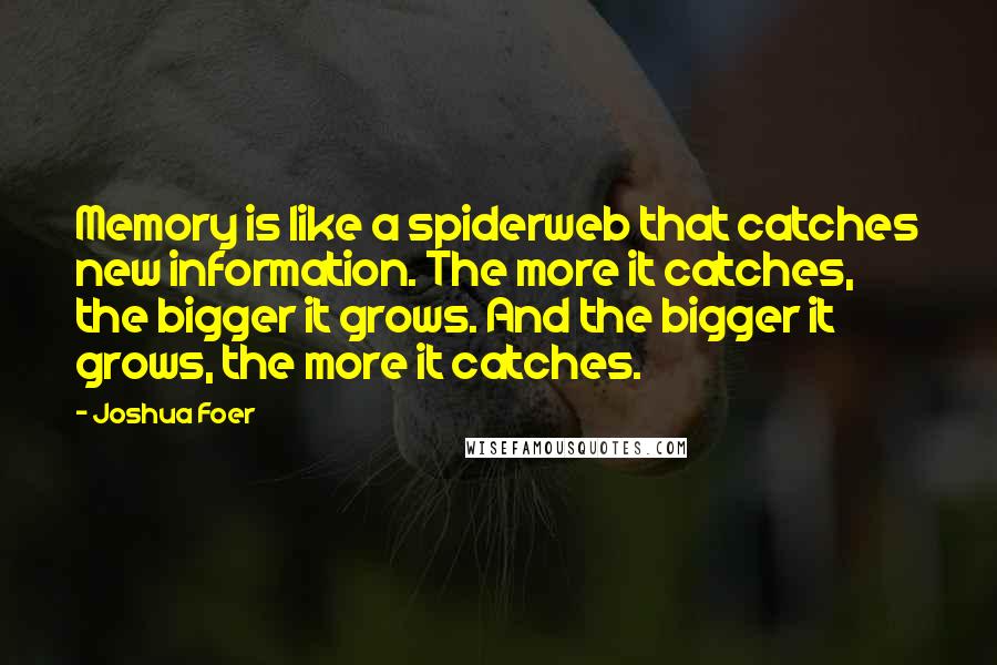 Joshua Foer Quotes: Memory is like a spiderweb that catches new information. The more it catches, the bigger it grows. And the bigger it grows, the more it catches.