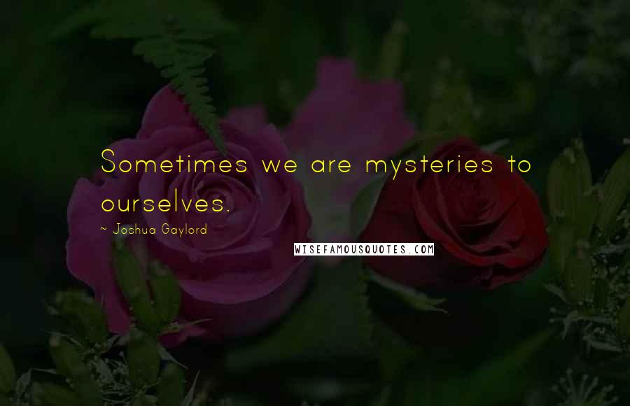 Joshua Gaylord Quotes: Sometimes we are mysteries to ourselves.
