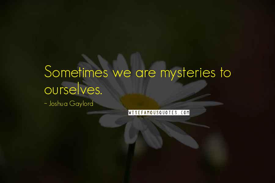 Joshua Gaylord Quotes: Sometimes we are mysteries to ourselves.