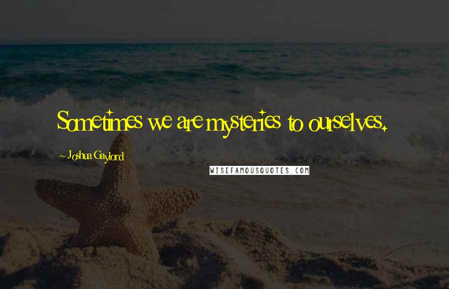 Joshua Gaylord Quotes: Sometimes we are mysteries to ourselves.