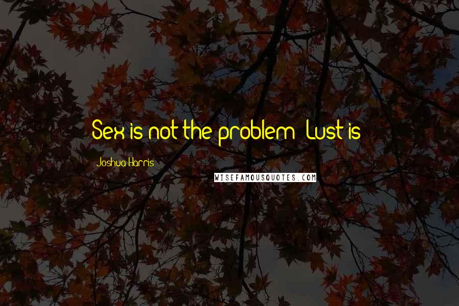 Joshua Harris Quotes: Sex is not the problem [Lust is]