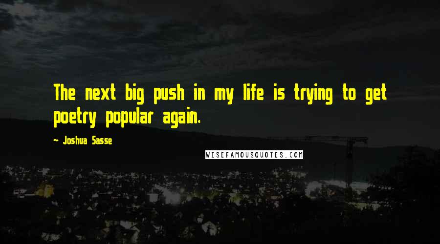 Joshua Sasse Quotes: The next big push in my life is trying to get poetry popular again.