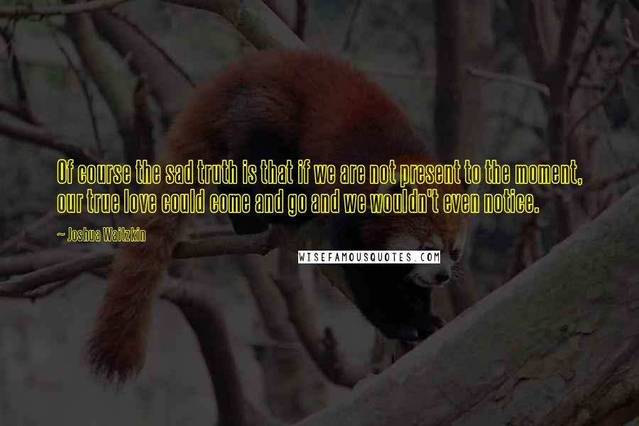 Joshua Waitzkin Quotes: Of course the sad truth is that if we are not present to the moment, our true love could come and go and we wouldn't even notice.