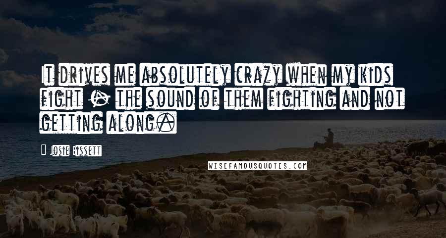 Josie Bissett Quotes: It drives me absolutely crazy when my kids fight - the sound of them fighting and not getting along.