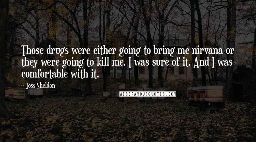 Joss Sheldon Quotes: Those drugs were either going to bring me nirvana or they were going to kill me. I was sure of it. And I was comfortable with it.