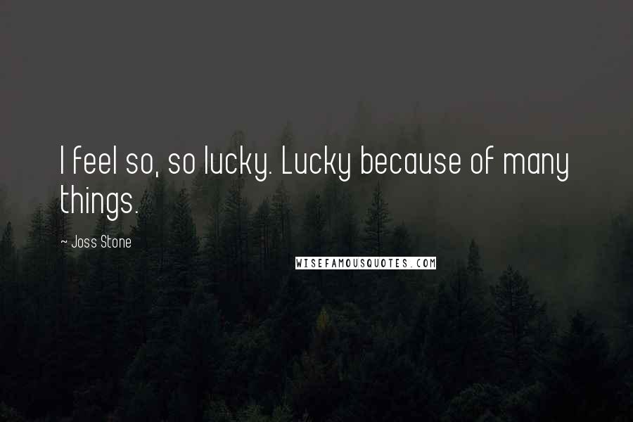 Joss Stone Quotes: I feel so, so lucky. Lucky because of many things.