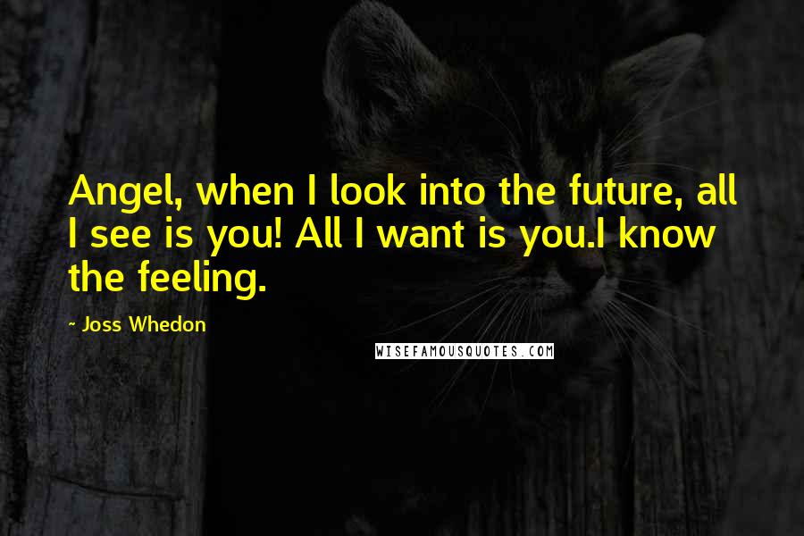 Joss Whedon Quotes: Angel, when I look into the future, all I see is you! All I want is you.I know the feeling.
