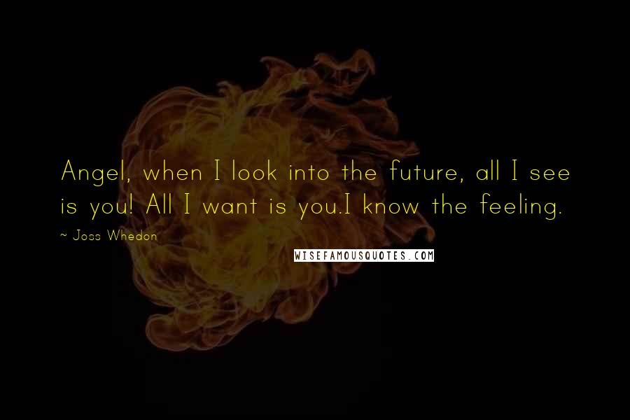 Joss Whedon Quotes: Angel, when I look into the future, all I see is you! All I want is you.I know the feeling.