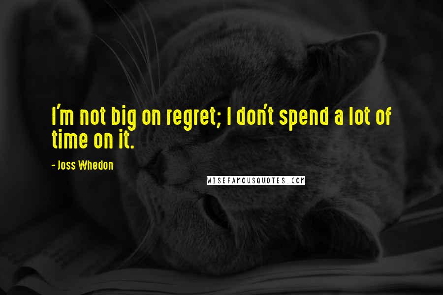 Joss Whedon Quotes: I'm not big on regret; I don't spend a lot of time on it.