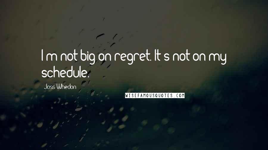 Joss Whedon Quotes: I'm not big on regret. It's not on my schedule.