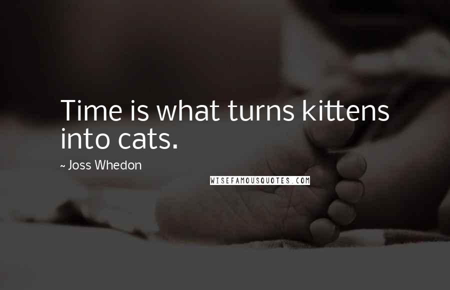 Joss Whedon Quotes: Time is what turns kittens into cats.