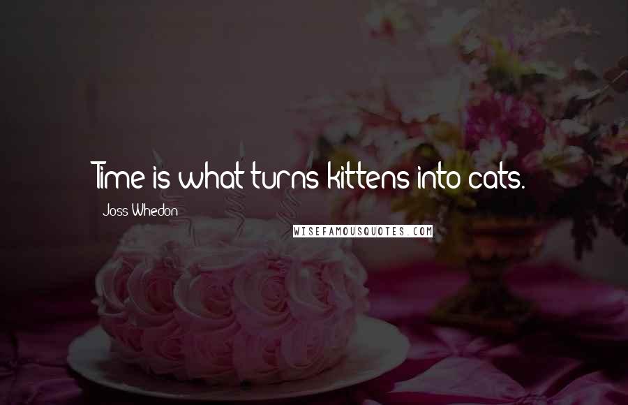 Joss Whedon Quotes: Time is what turns kittens into cats.