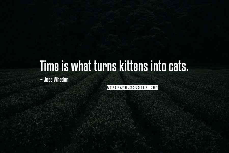 Joss Whedon Quotes: Time is what turns kittens into cats.