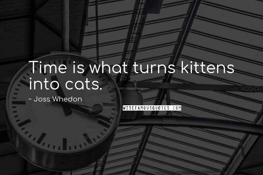 Joss Whedon Quotes: Time is what turns kittens into cats.