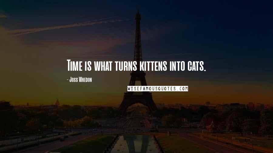 Joss Whedon Quotes: Time is what turns kittens into cats.