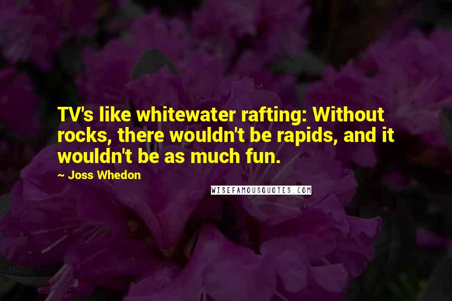 Joss Whedon Quotes: TV's like whitewater rafting: Without rocks, there wouldn't be rapids, and it wouldn't be as much fun.