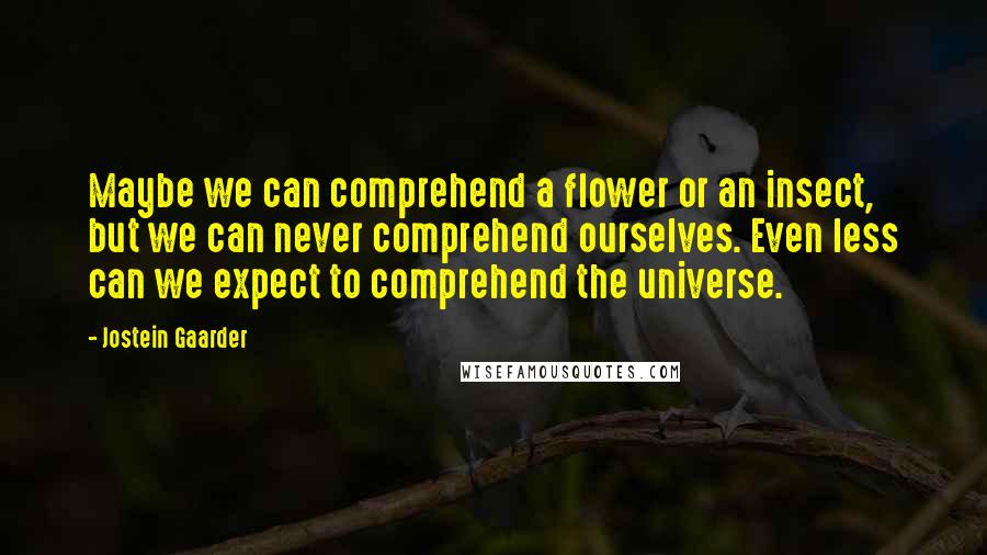 Jostein Gaarder Quotes: Maybe we can comprehend a flower or an insect, but we can never comprehend ourselves. Even less can we expect to comprehend the universe.