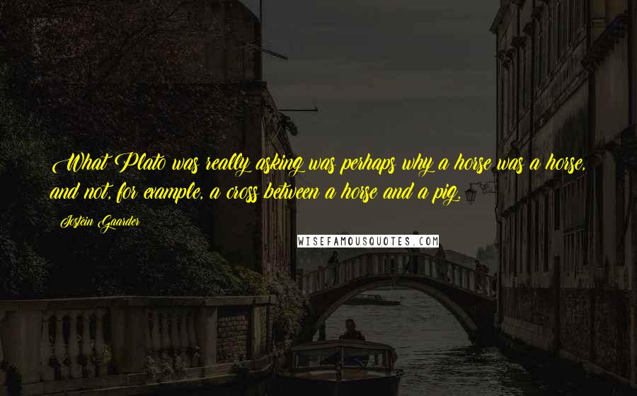 Jostein Gaarder Quotes: What Plato was really asking was perhaps why a horse was a horse, and not, for example, a cross between a horse and a pig.