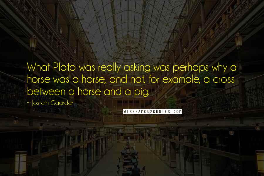 Jostein Gaarder Quotes: What Plato was really asking was perhaps why a horse was a horse, and not, for example, a cross between a horse and a pig.