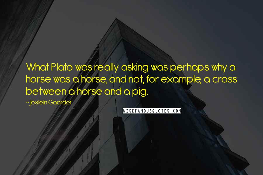 Jostein Gaarder Quotes: What Plato was really asking was perhaps why a horse was a horse, and not, for example, a cross between a horse and a pig.