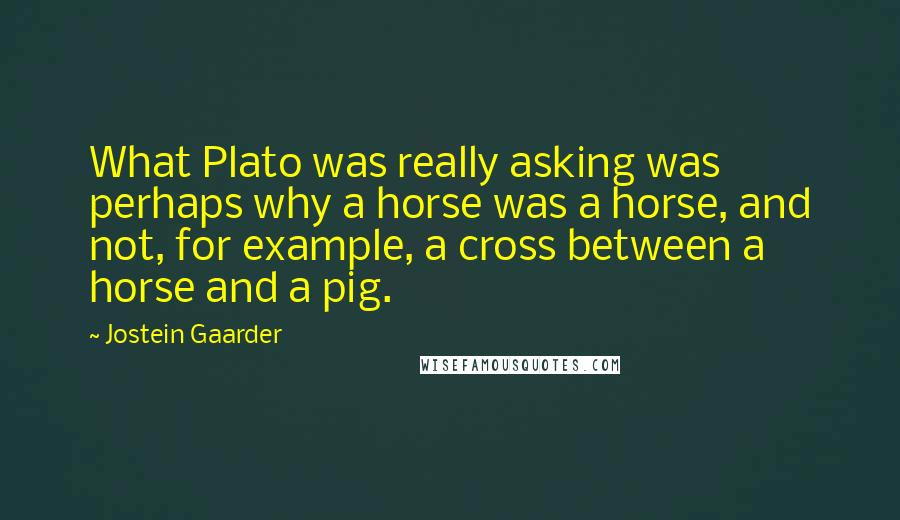 Jostein Gaarder Quotes: What Plato was really asking was perhaps why a horse was a horse, and not, for example, a cross between a horse and a pig.