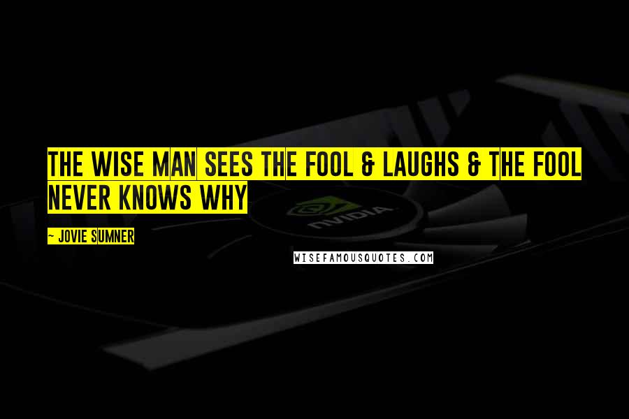 Jovie Sumner Quotes: The wise man sees the fool & laughs & the fool never knows why