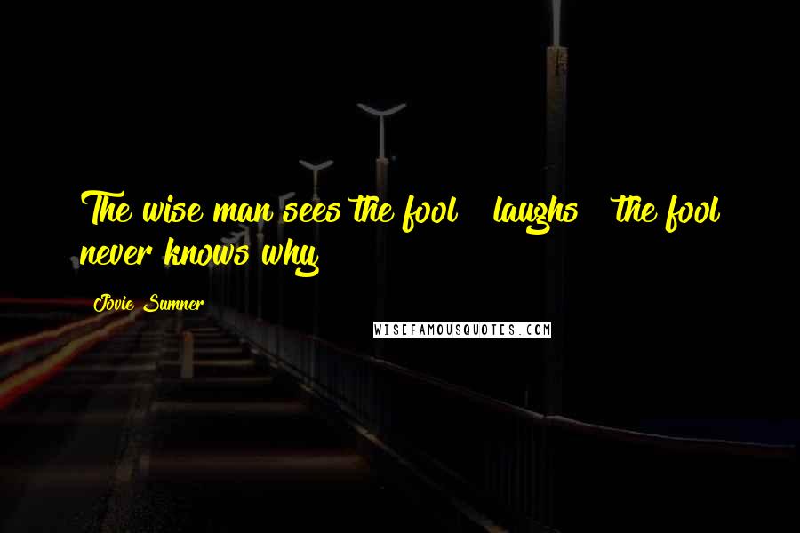 Jovie Sumner Quotes: The wise man sees the fool & laughs & the fool never knows why