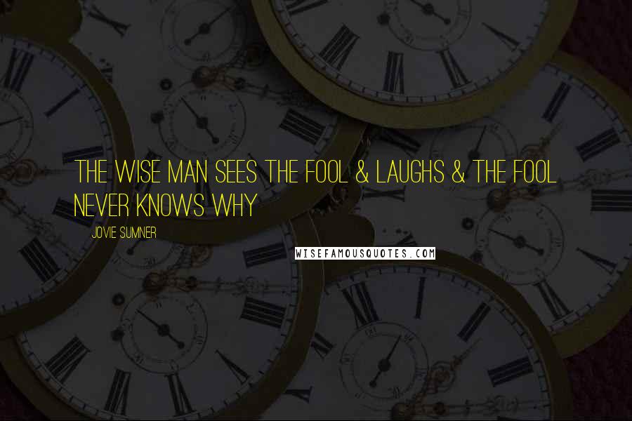 Jovie Sumner Quotes: The wise man sees the fool & laughs & the fool never knows why