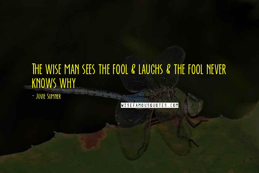 Jovie Sumner Quotes: The wise man sees the fool & laughs & the fool never knows why