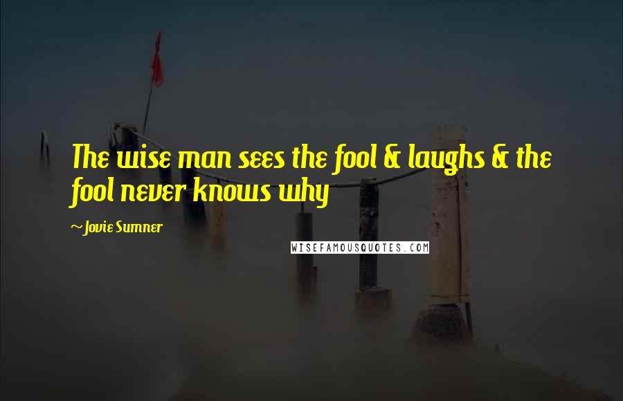 Jovie Sumner Quotes: The wise man sees the fool & laughs & the fool never knows why