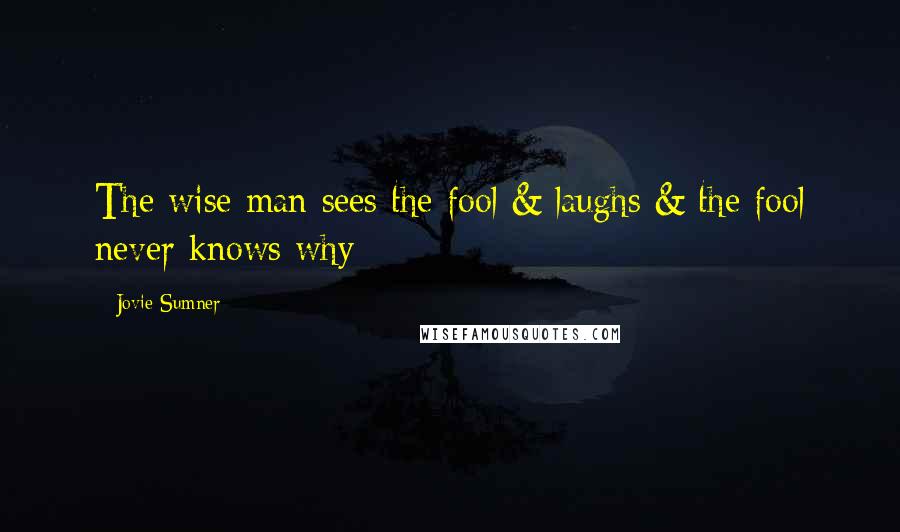 Jovie Sumner Quotes: The wise man sees the fool & laughs & the fool never knows why