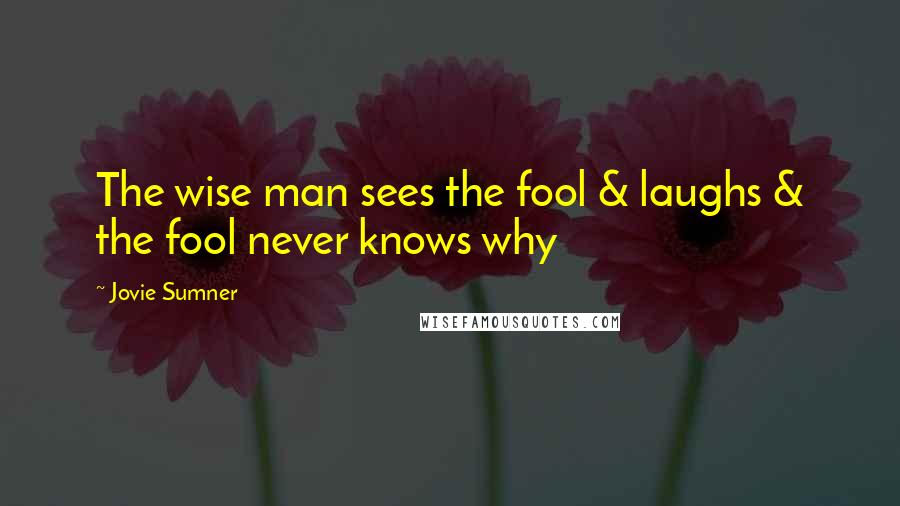 Jovie Sumner Quotes: The wise man sees the fool & laughs & the fool never knows why