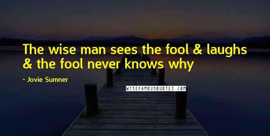 Jovie Sumner Quotes: The wise man sees the fool & laughs & the fool never knows why