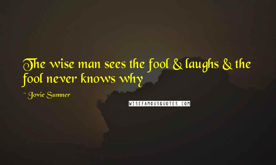 Jovie Sumner Quotes: The wise man sees the fool & laughs & the fool never knows why